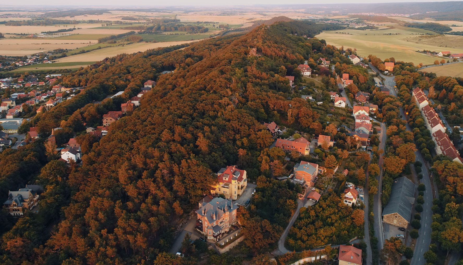 A birdseye view